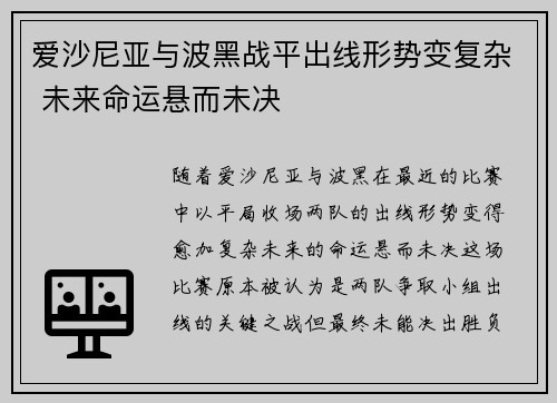 爱沙尼亚与波黑战平出线形势变复杂 未来命运悬而未决