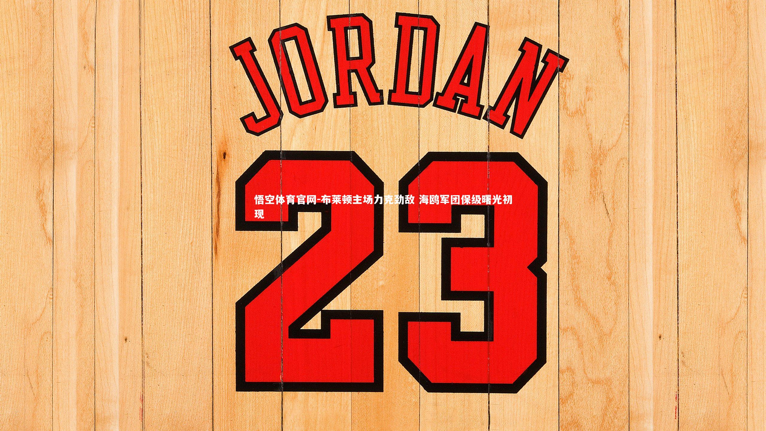 悟空体育官网-布莱顿主场力克劲敌 海鸥军团保级曙光初现