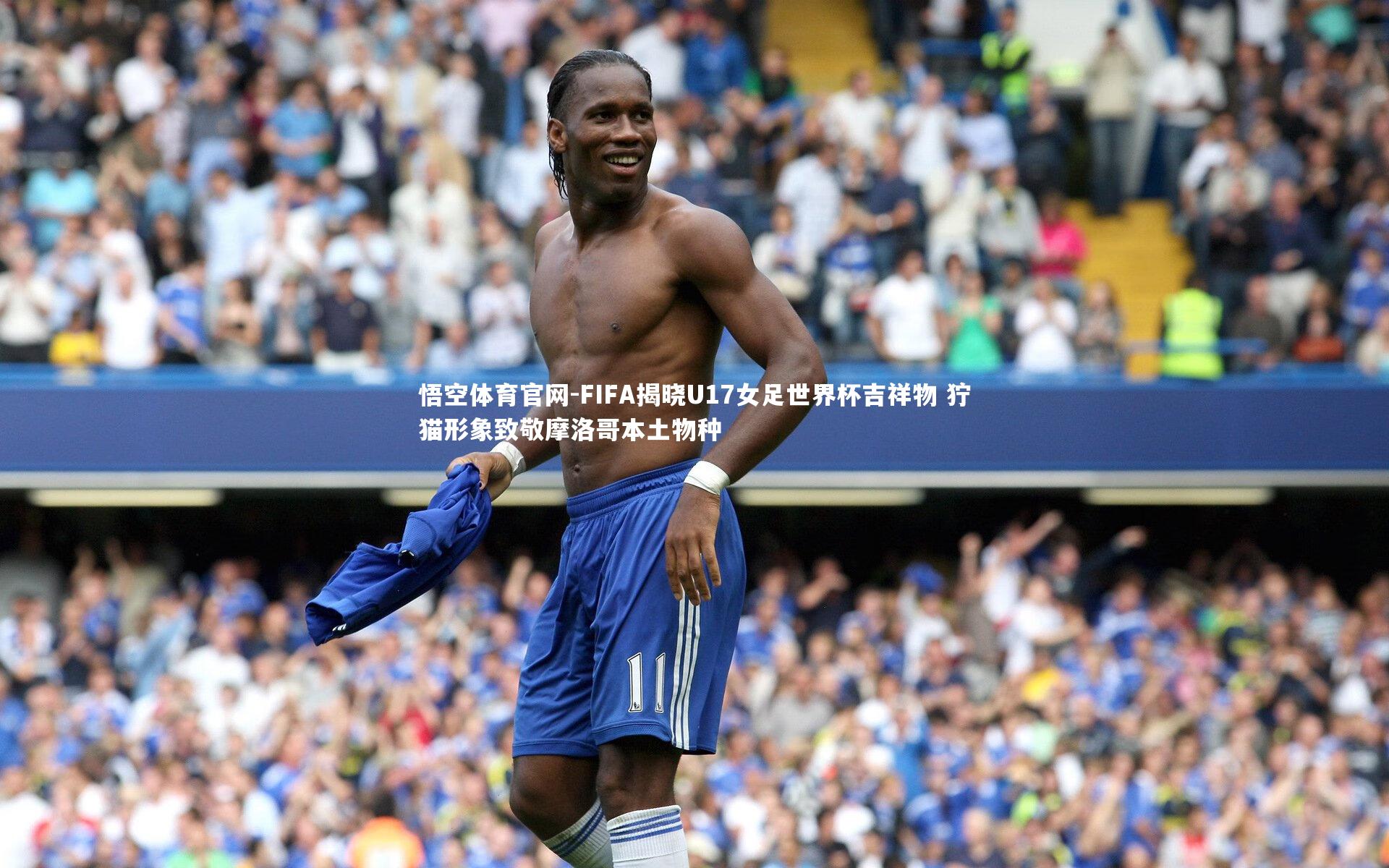 FIFA揭晓U17女足世界杯吉祥物 狞猫形象致敬摩洛哥本土物种