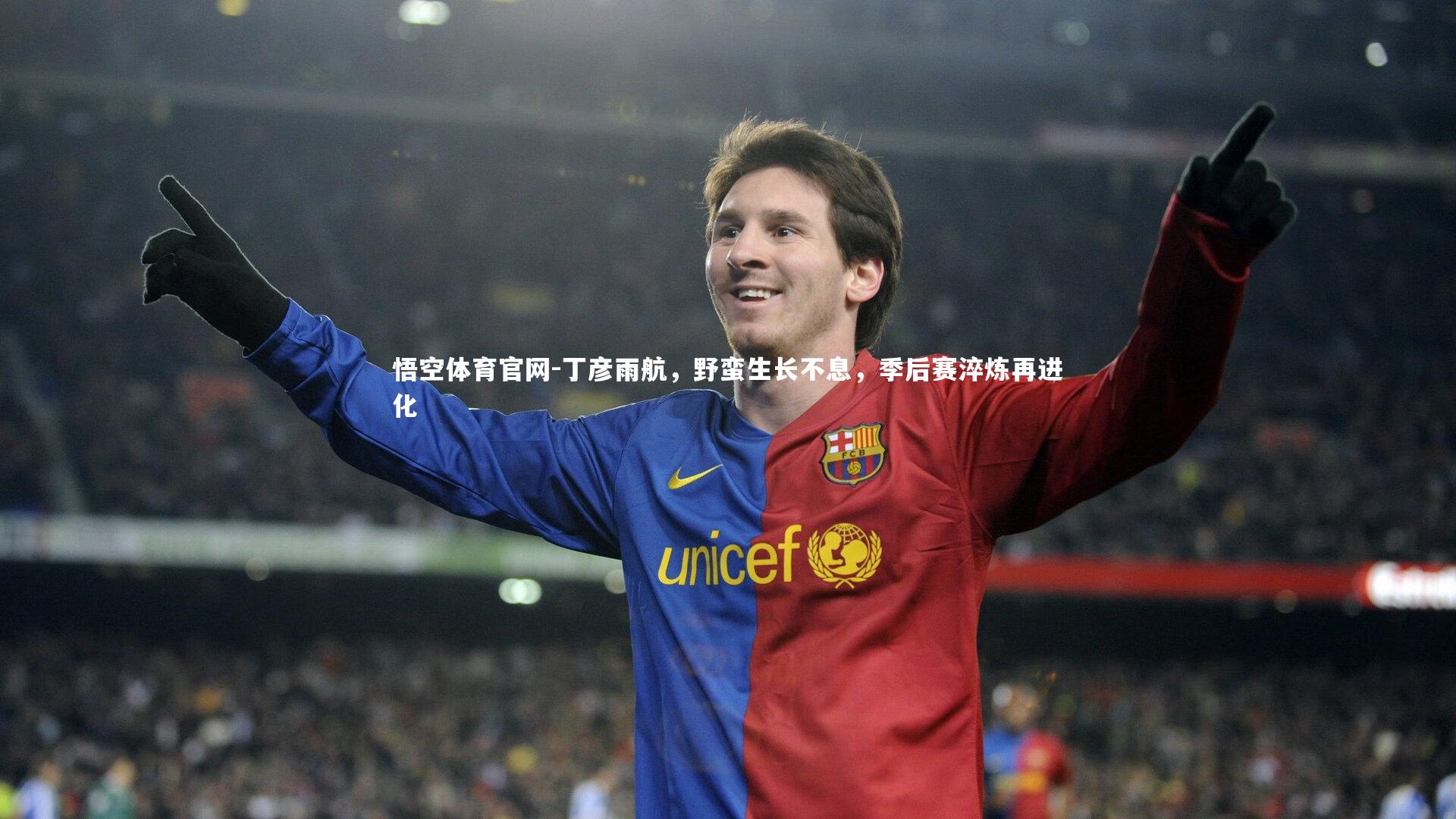 丁彦雨航，野蛮生长不息，季后赛淬炼再进化